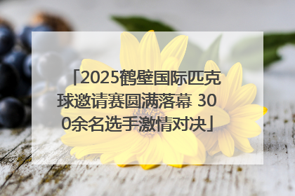 2025鹤壁国际匹克球邀请赛圆满落幕 300余名选手激情对决